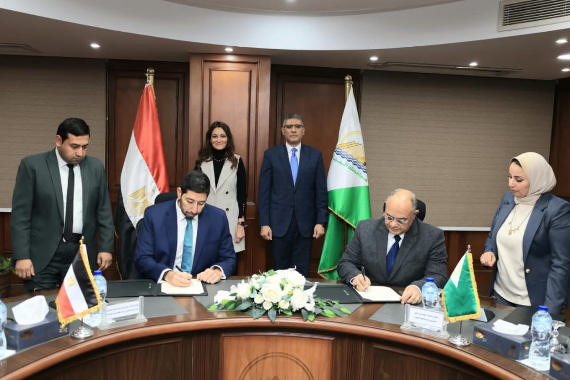 رابيت موبيلتي