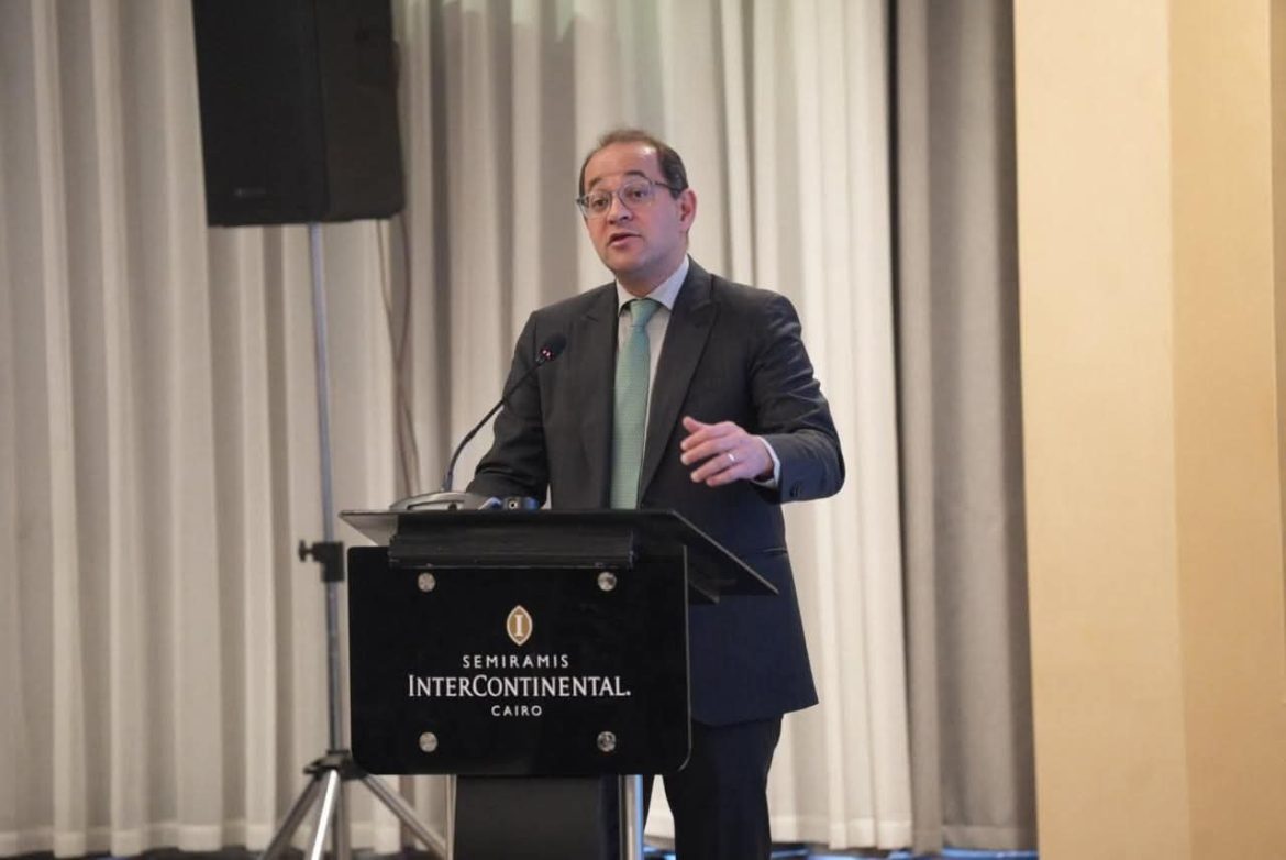 وزير المالية المصري