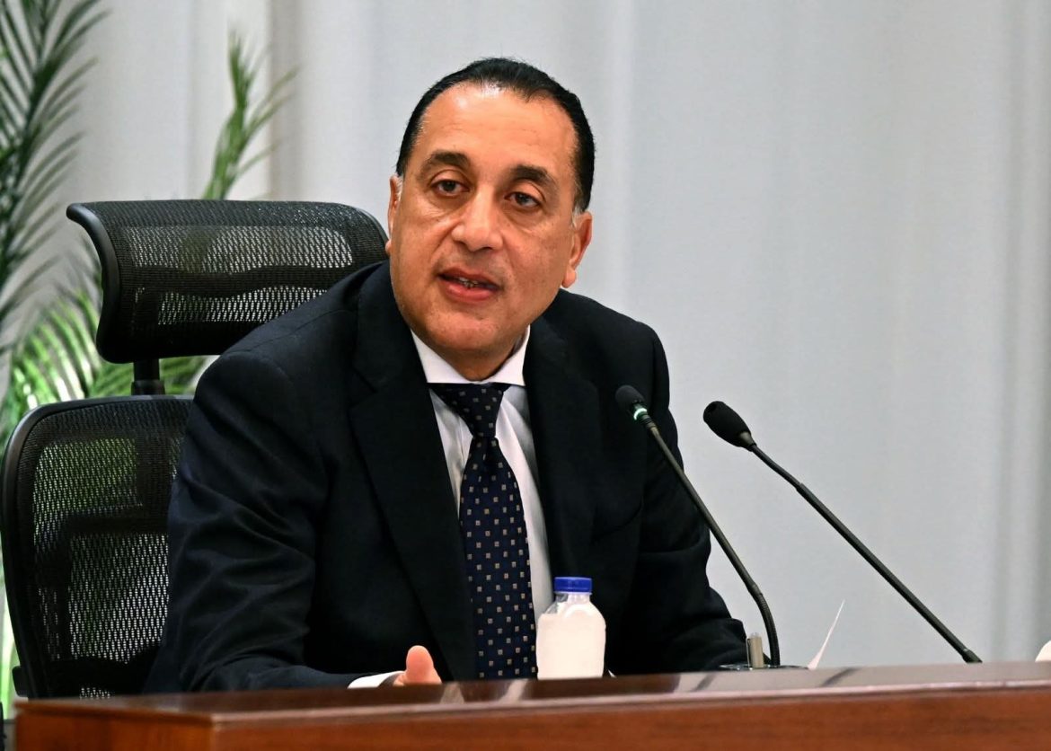 الحكومة المصرية