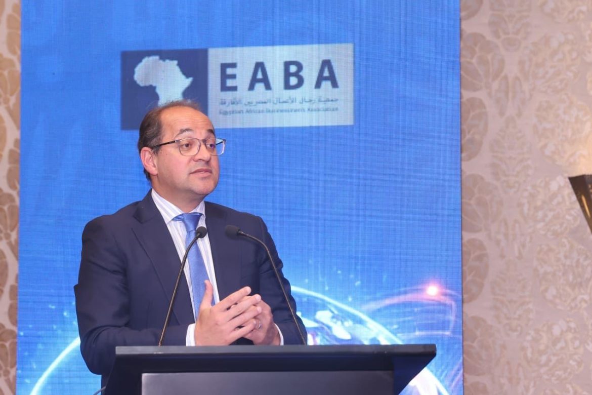 وزير المالية المصري