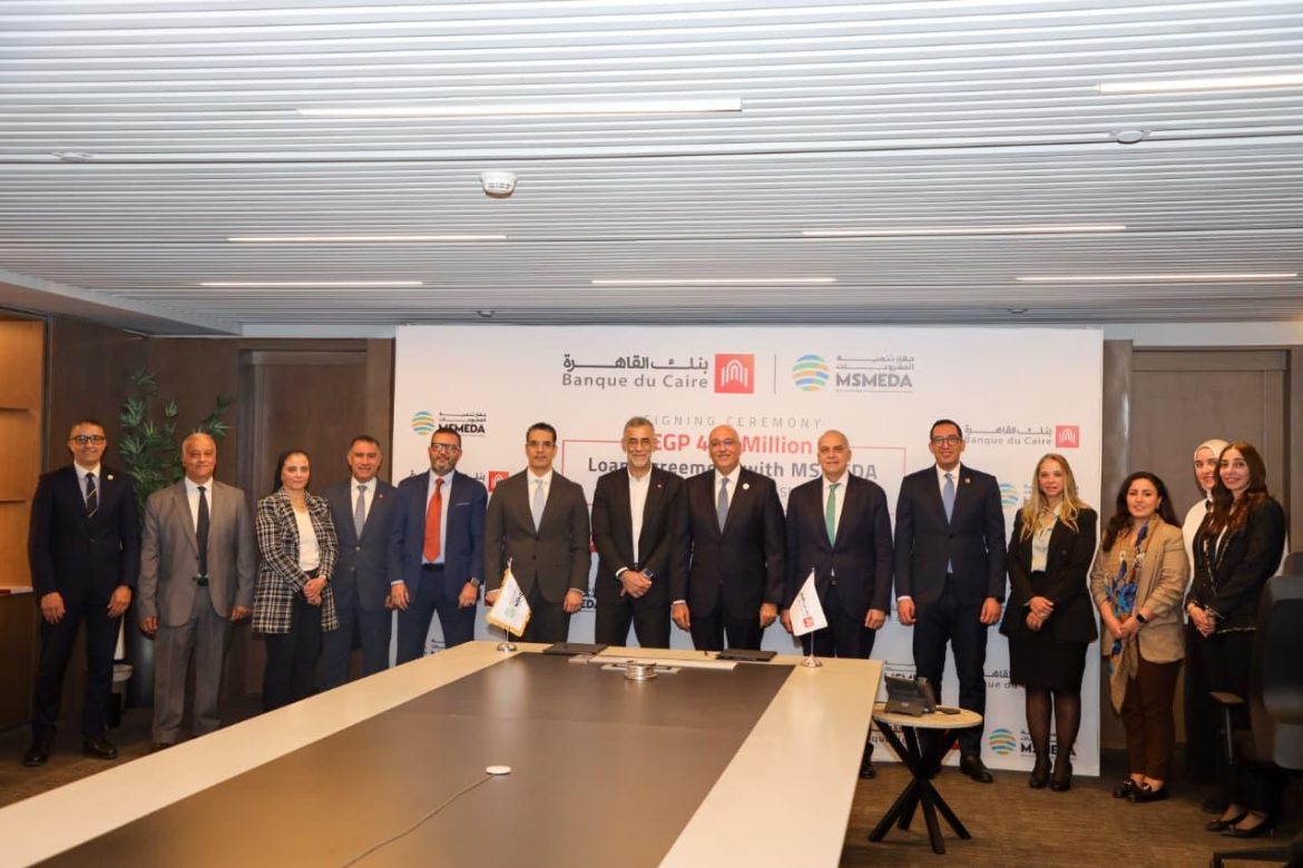 تنمية المشروعات