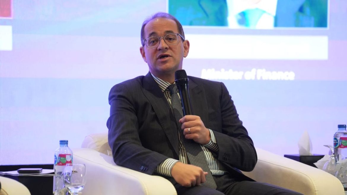 الحكومة المصرية